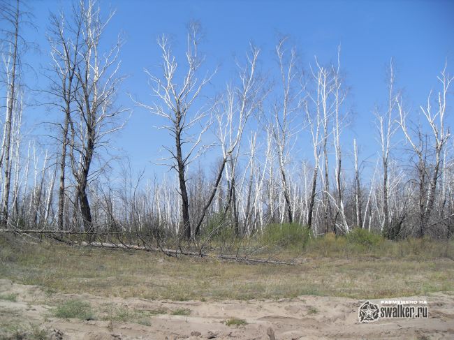 ХУТОР, Ростовская область