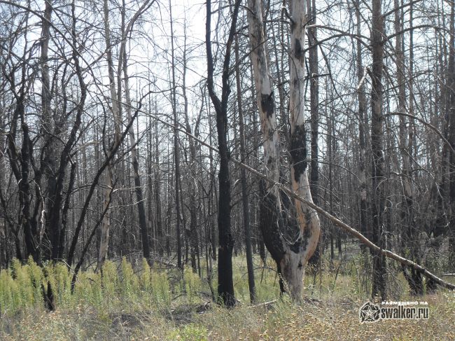 ХУТОР, Ростовская область