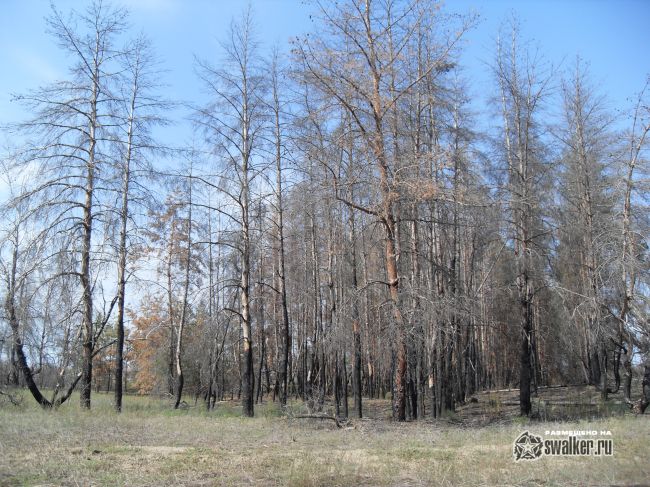 ХУТОР, Ростовская область