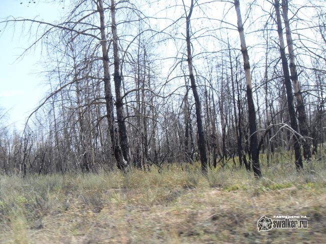 ХУТОР, Ростовская область