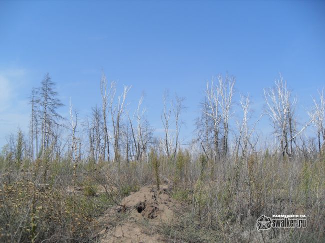 ХУТОР, Ростовская область