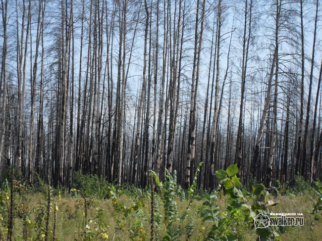 ХУТОР, Ростовская область