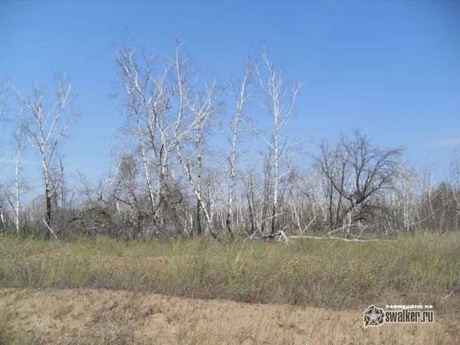ХУТОР, Ростовская область