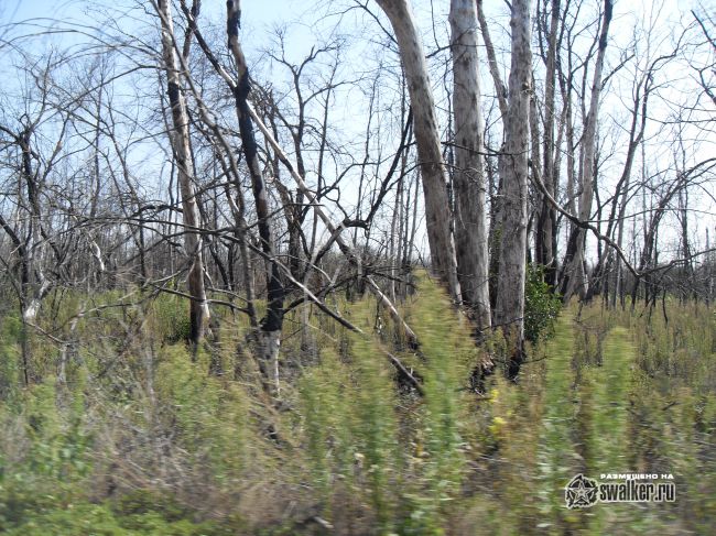 ХУТОР, Ростовская область