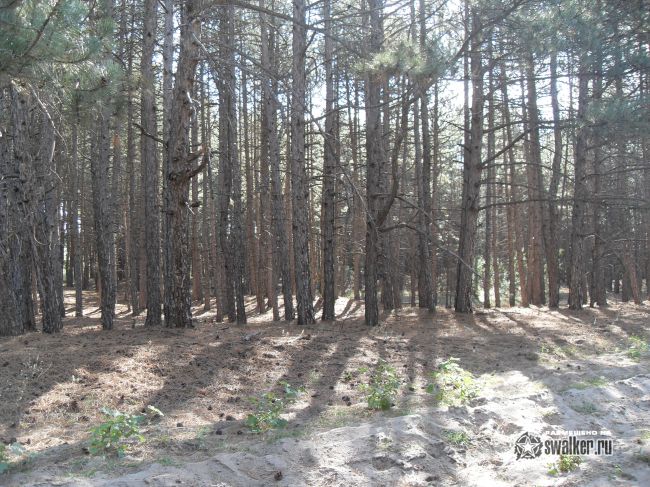 ХУТОР, Ростовская область