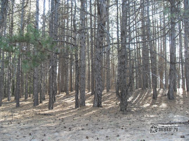 ХУТОР, Ростовская область