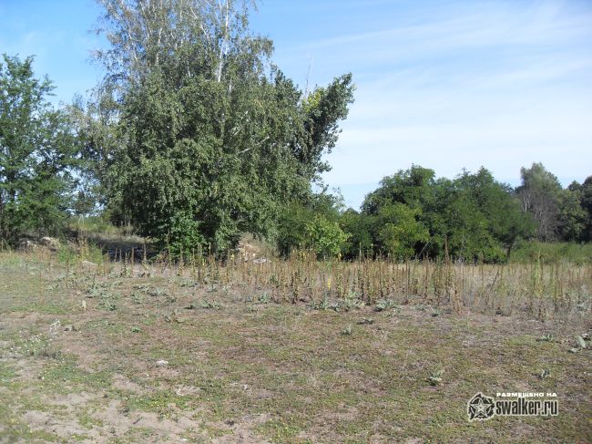 ХУТОР, Ростовская область