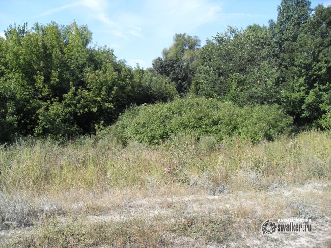 ХУТОР (Часть 2), Ростовской области