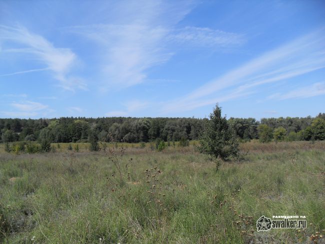 ХУТОР (Часть 2), Ростовской области