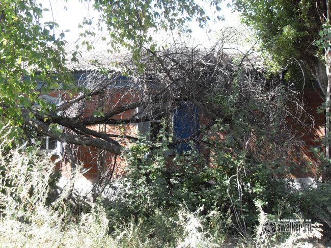 ХУТОР (Часть 2), Ростовской области