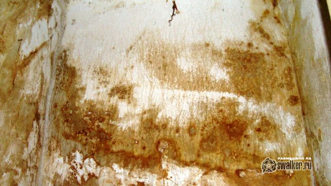 Заброшенный дом, Волгоградская область