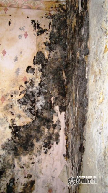 Заброшенный дом, Волгоградская область