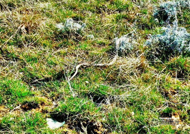 База ПВО, Волгоградская область База ПВО, Волгоградская область