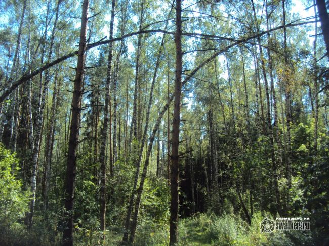 Пионер лагерь Ракета, бывший СССР