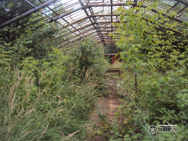 Заброшенная теплица