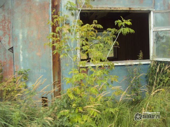 Заброшенная теплица