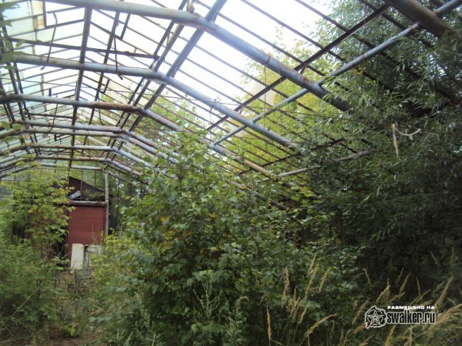 Заброшенная теплица