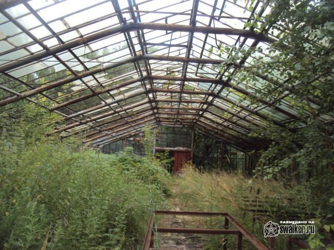 Заброшенная теплица