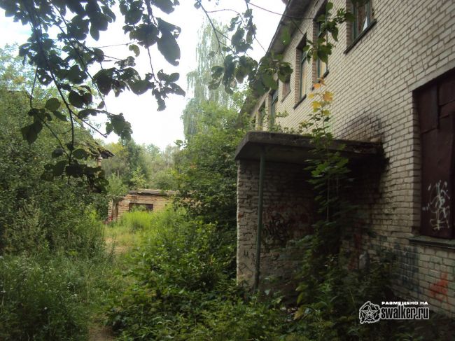 Санаторий Елочка