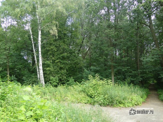 Руины храма Иоанна Богослова