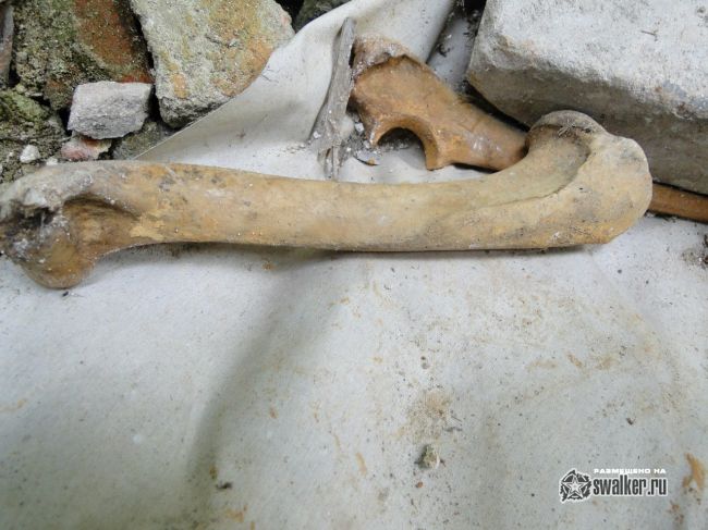 Руины храма Иоанна Богослова