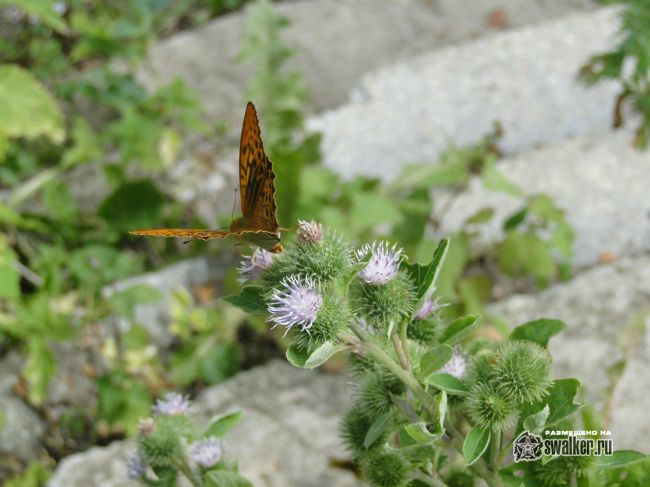 Руины храма Иоанна Богослова