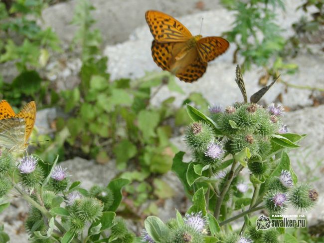Руины храма Иоанна Богослова