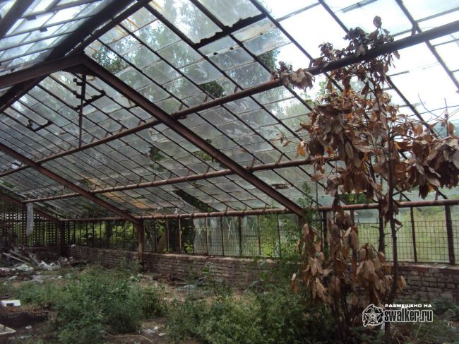 Заброшенный тепличный комплекс
