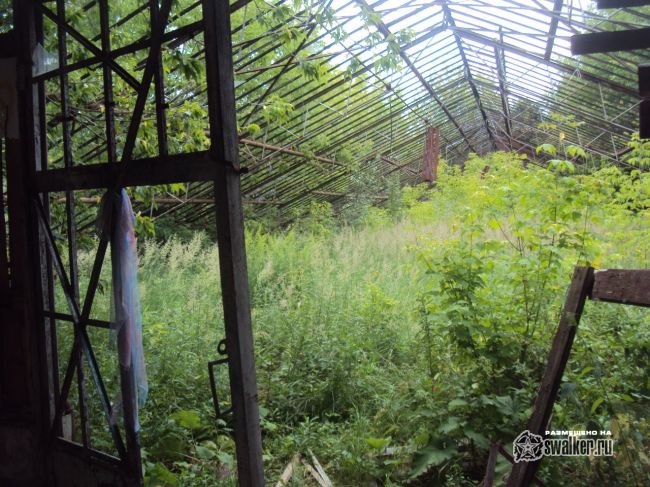 Заброшенный тепличный комплекс
