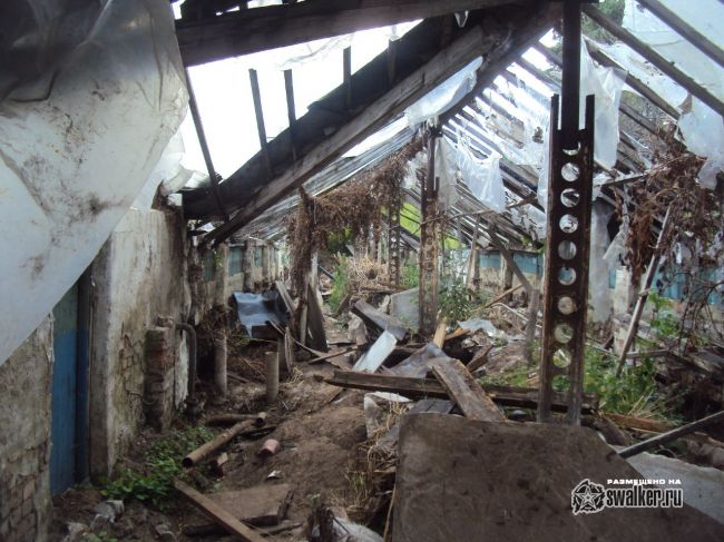 Заброшенный тепличный комплекс