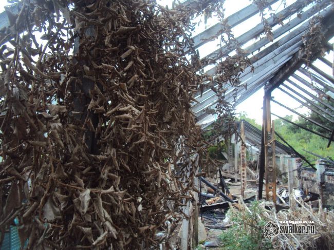 Заброшенный тепличный комплекс