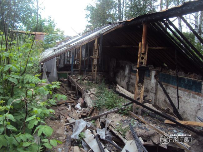 Заброшенный тепличный комплекс