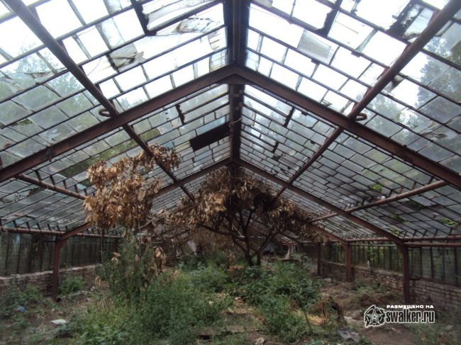 Заброшенный тепличный комплекс