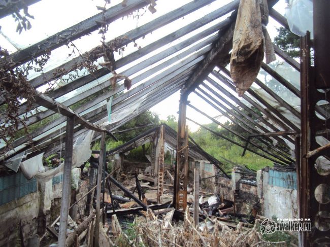 Заброшенный тепличный комплекс