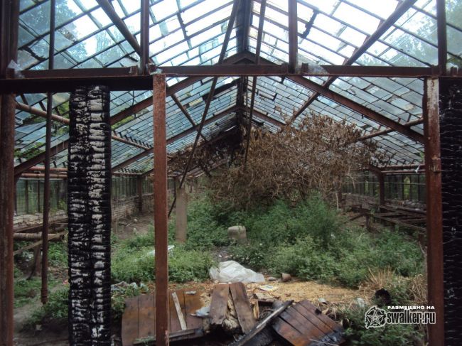 Заброшенный тепличный комплекс