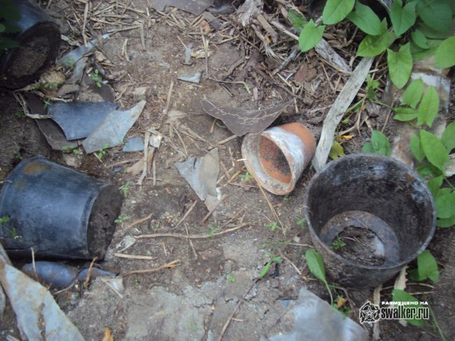 Заброшенный тепличный комплекс