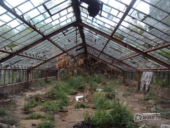 Заброшенный тепличный комплекс
