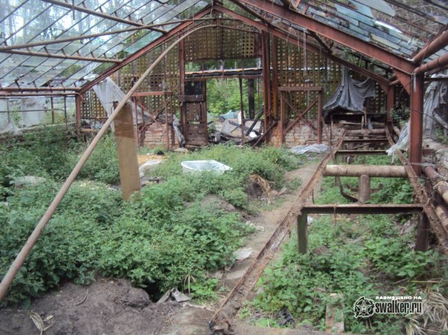 Заброшенный тепличный комплекс