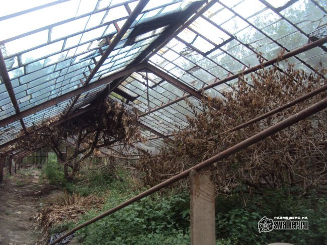 Заброшенный тепличный комплекс