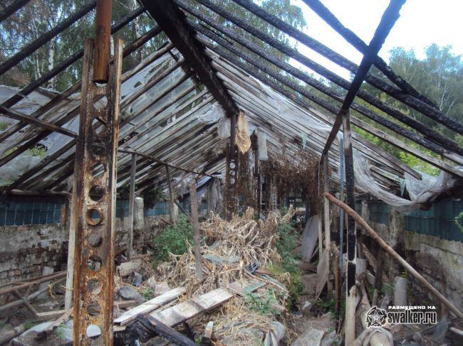 Заброшенный тепличный комплекс