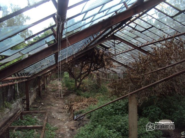 Заброшенный тепличный комплекс