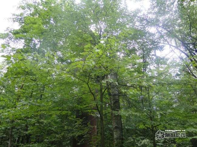 Бывшая насосная станция