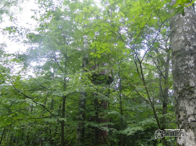 Бывшая насосная станция