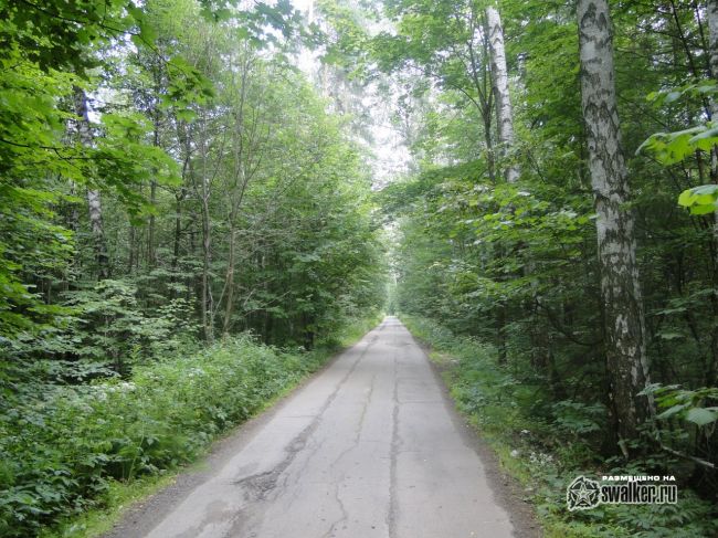 Бывшая насосная станция