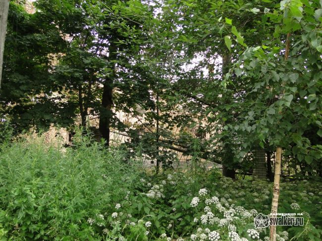 Дом цыганского барона Дом цыганского барона