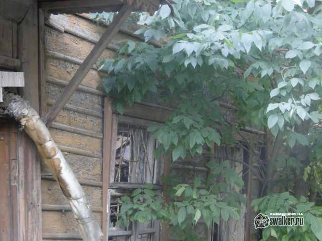 Заброшенный дом Заброшенный дом