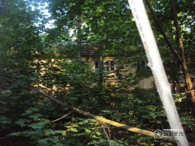 Заброшенный объект посреди леса