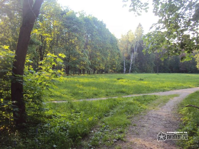 Заброшенный объект посреди леса