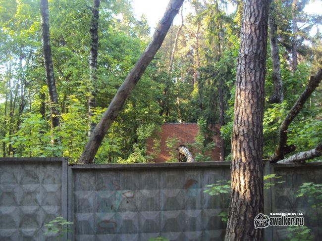 Заброшенный объект посреди леса