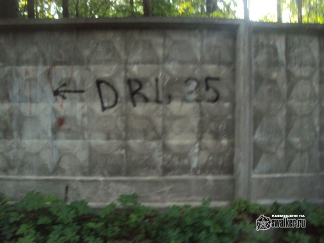 Заброшенный объект посреди леса